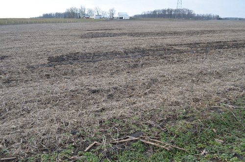 Property photo 33 - 98+/- Acres Offered in 6 Tracts or Combinations, Noble County, Indiana Farm